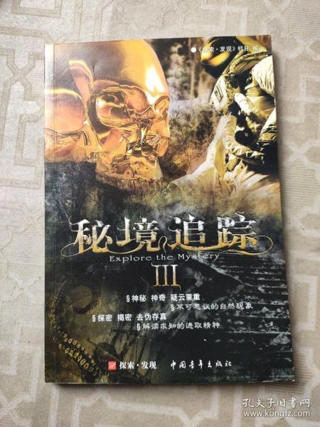 疯狂的小偷